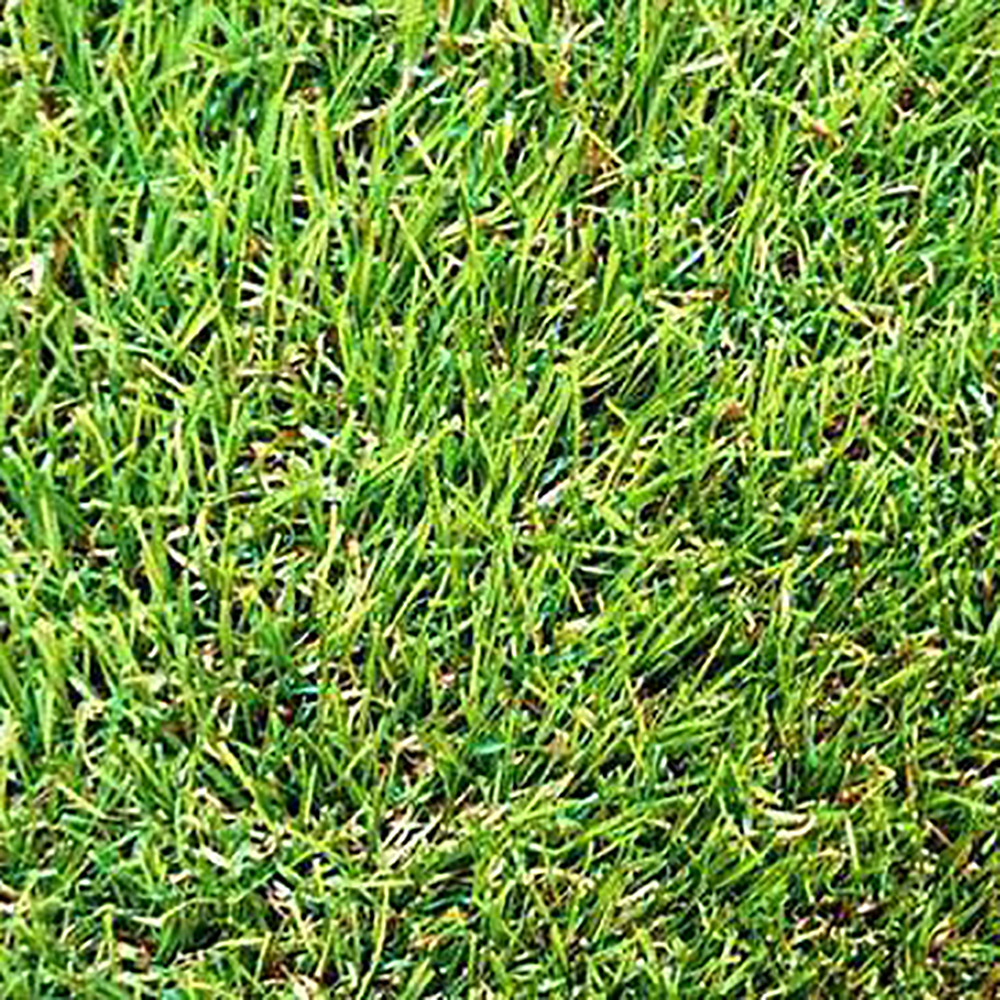Ковролин Трава 2,0 м 20мм Grass Dream